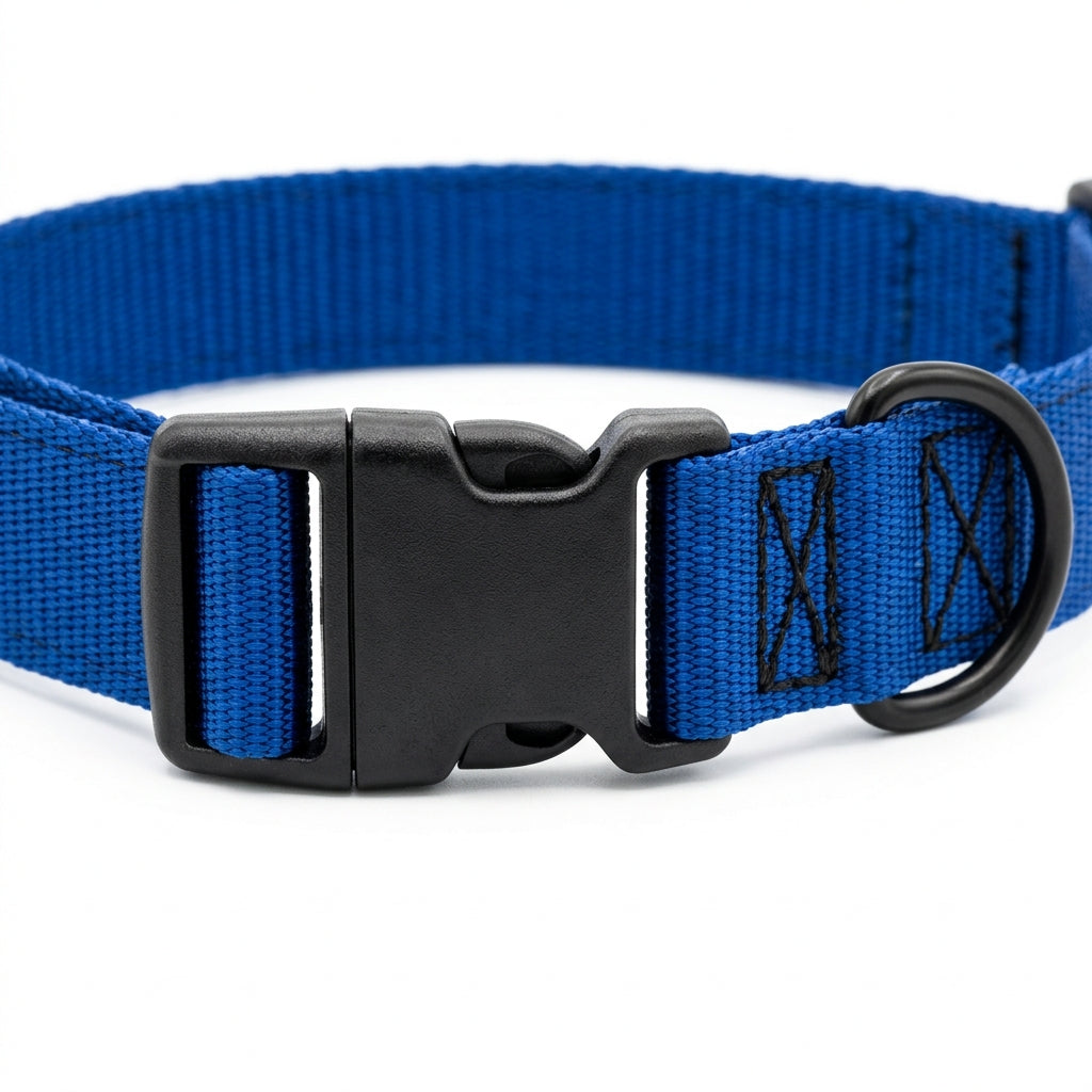 Sapphire Blue Heavy-Duty Nylon Dog Collar with Side-Release Buckle