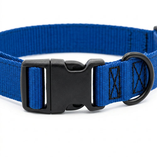 Sapphire Blue Heavy-Duty Nylon Dog Collar with Side-Release Buckle