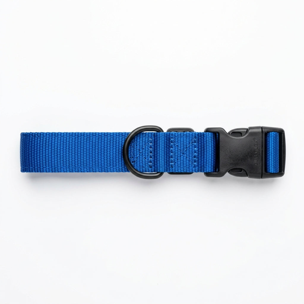 Sapphire Blue Heavy-Duty Nylon Dog Collar with Side-Release Buckle