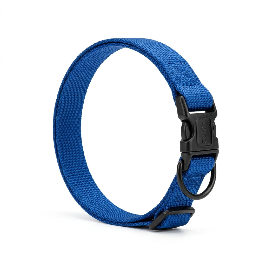 Sapphire Blue Heavy-Duty Nylon Dog Collar with Side-Release Buckle