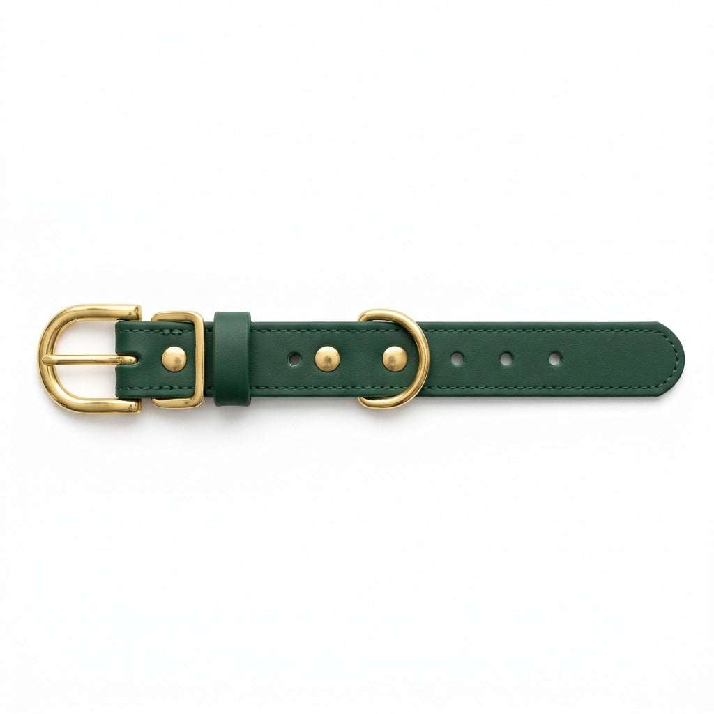 Forest Green Waterproof Biothane Dog Collar with Brass Roller Buckle