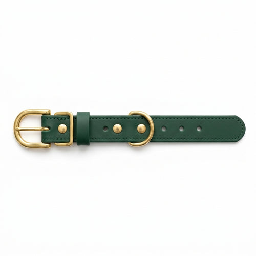Forest Green Waterproof Biothane Dog Collar with Brass Roller Buckle